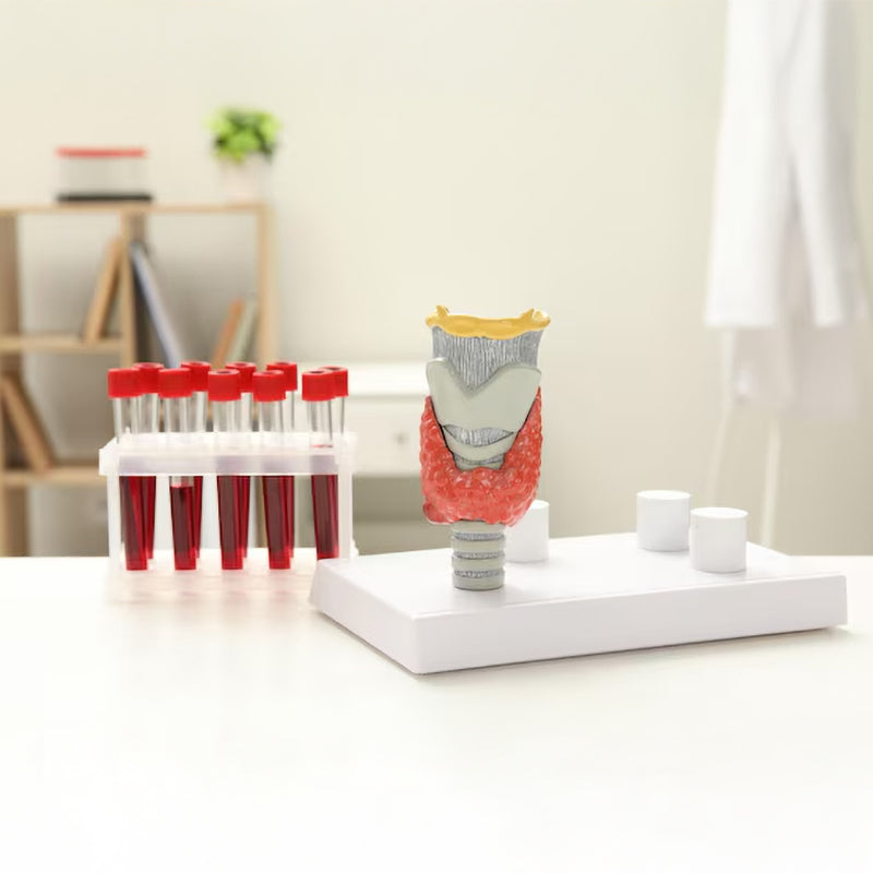 Thyroid Profile (T3, T4, TSH) Test